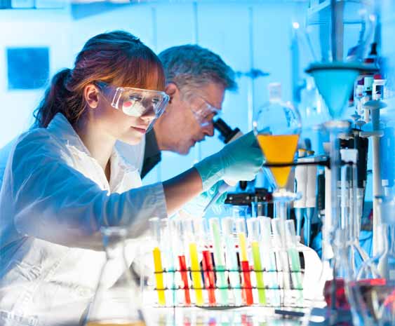 Les institutions partenaires