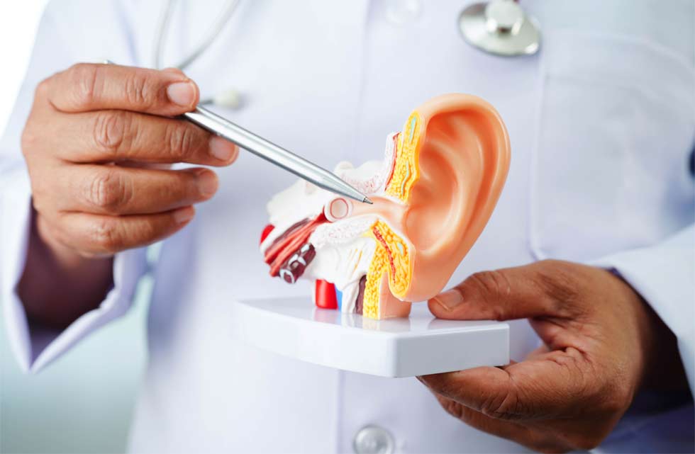 devenir ORL nombre d ORL