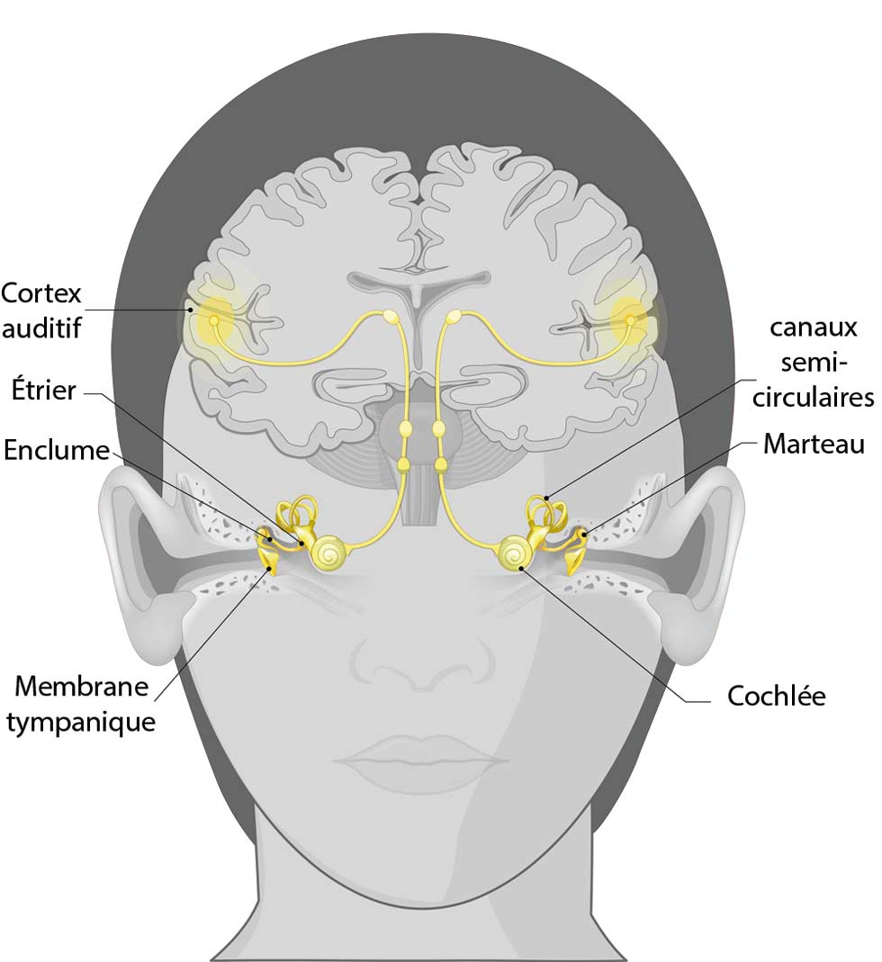 Description
