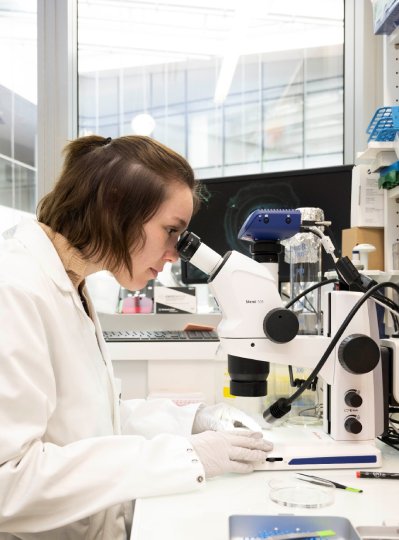 Des premières découvertes à la naissance d’un projet ambitieux